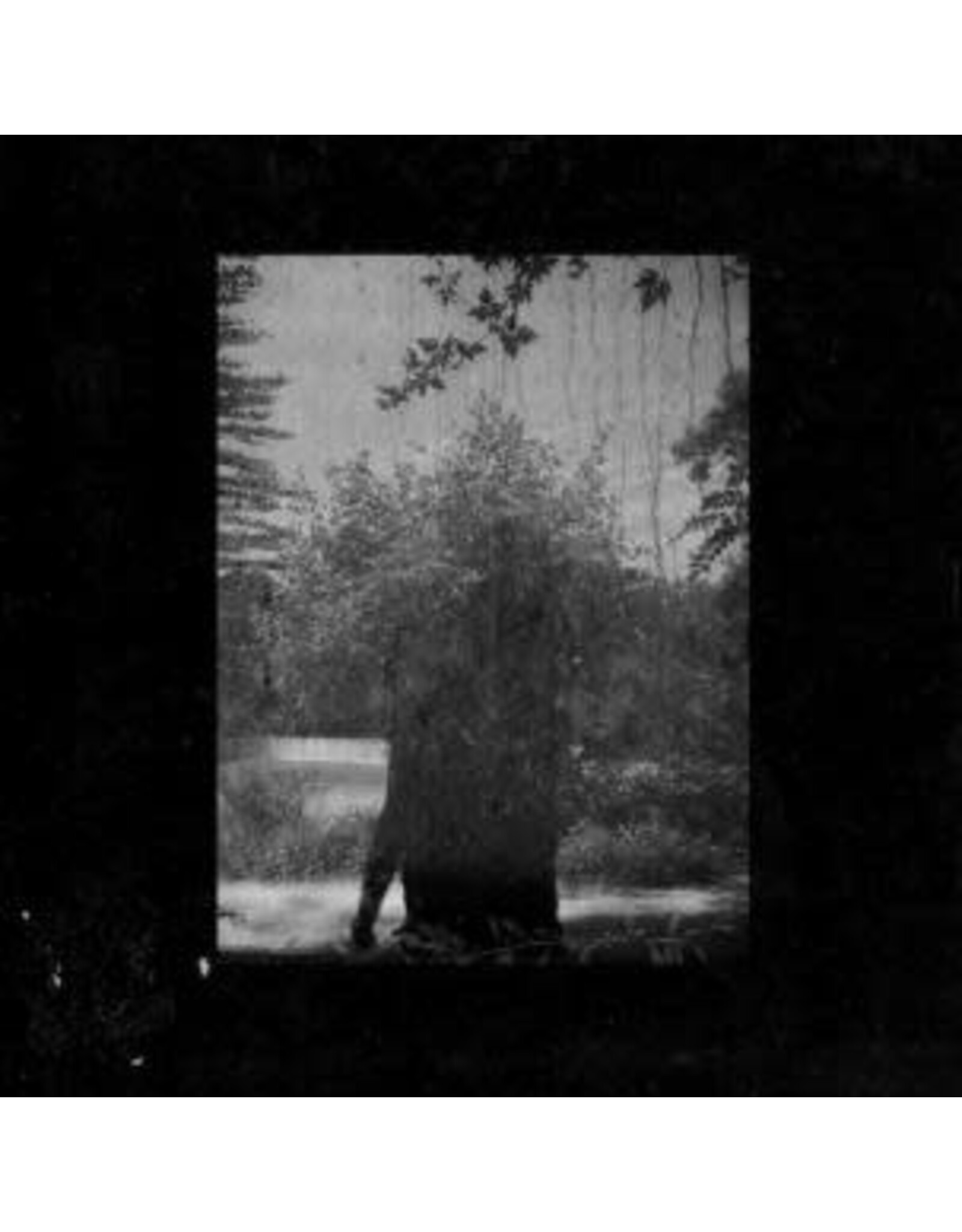 Kranky Grouper: Ruins LP