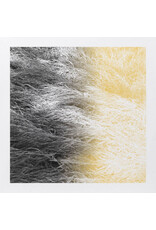 enmossed LAMIEE.: LUM LP