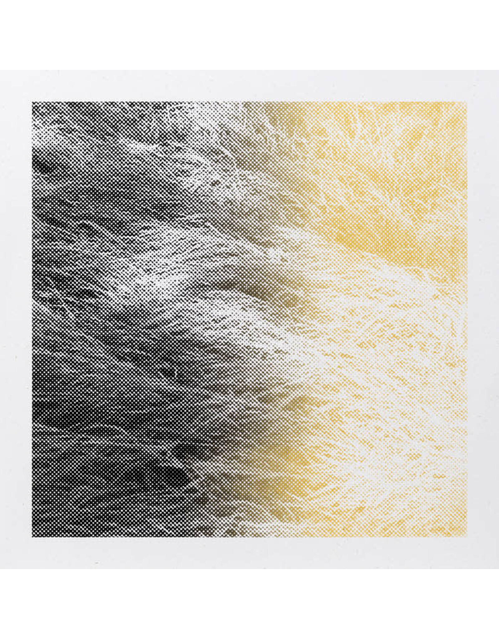 enmossed LAMIEE.: LUM LP