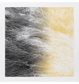 enmossed LAMIEE.: LUM LP