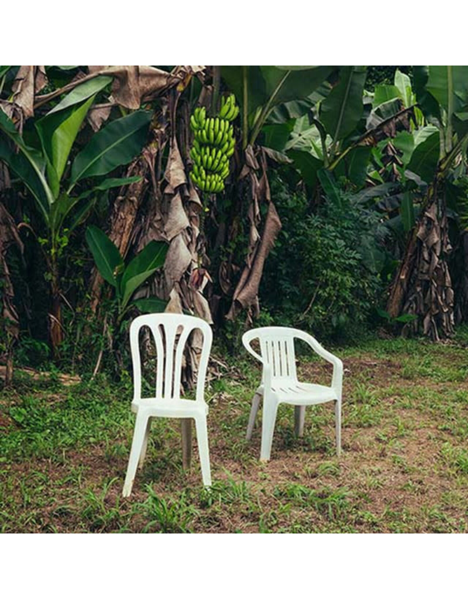 Bad Bunny: Debi Tirar Mas Fotos (2LP-white opaque vinyl) LP