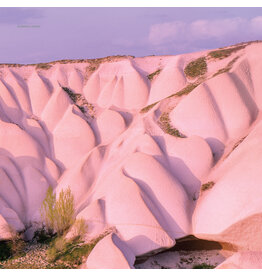 Warp Autechre: Amber LP