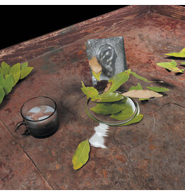 Editions Basilic Vantzou, Christina: The Reintegration of the Ear LP