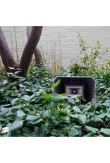 Guffond, Jasmine: Muzak for the Encouragement of Unproductivity LP