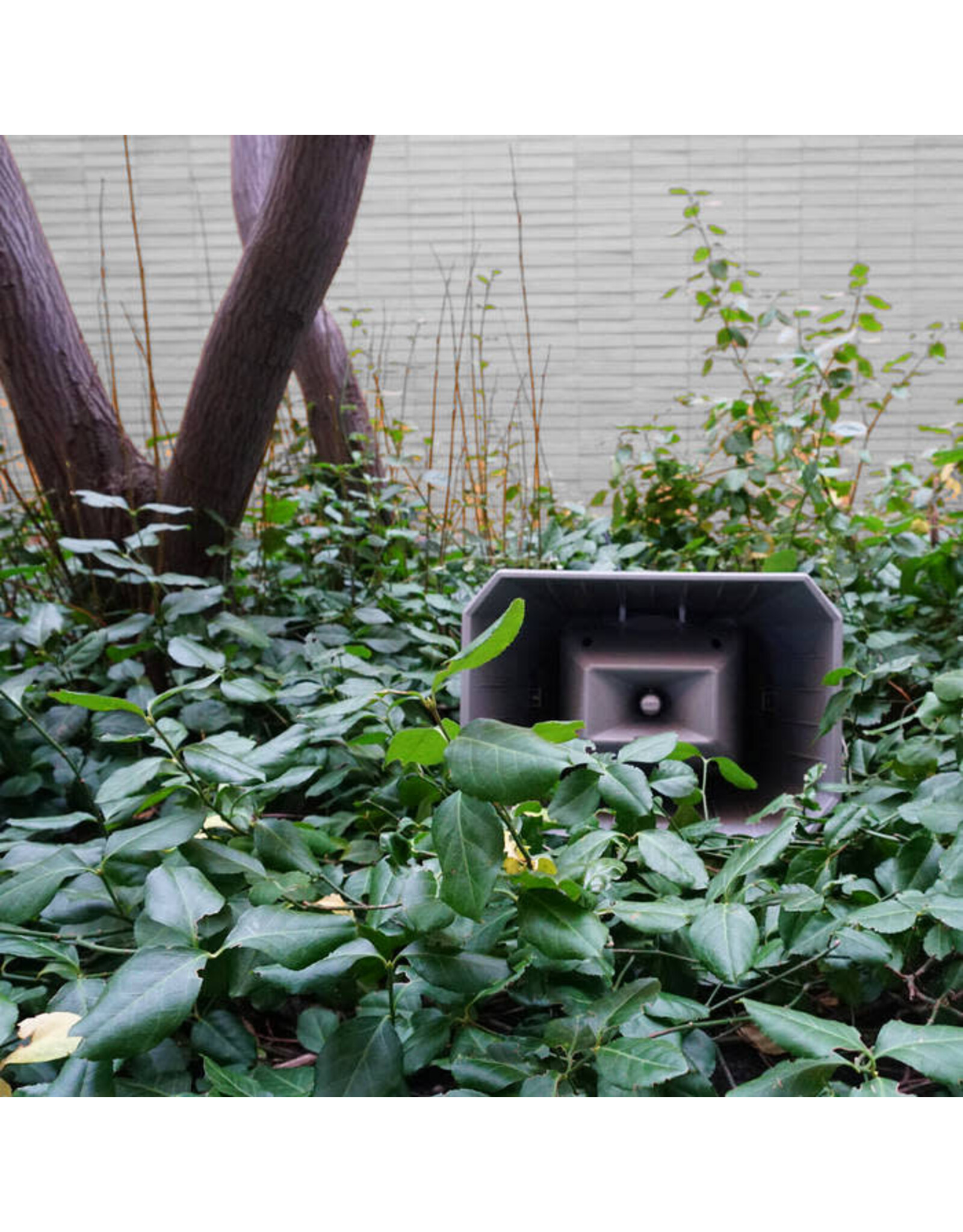 Guffond, Jasmine: Muzak for the Encouragement of Unproductivity LP