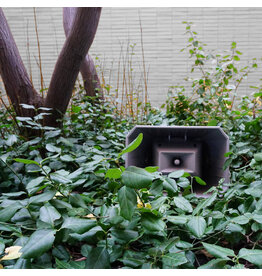 Guffond, Jasmine: Muzak for the Encouragement of Unproductivity LP