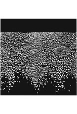 Milkweed: Remscéla LP