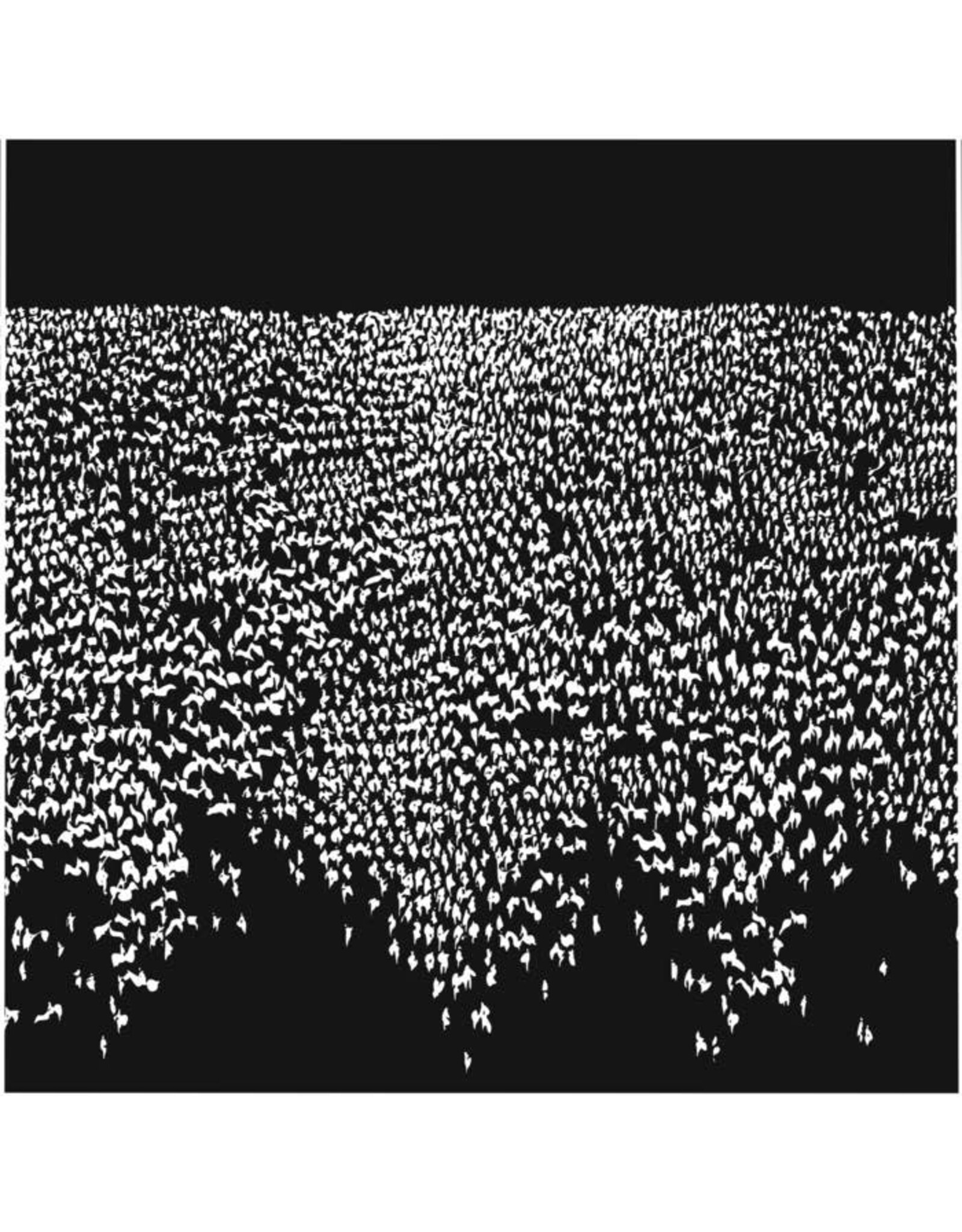 Milkweed: Remscéla LP