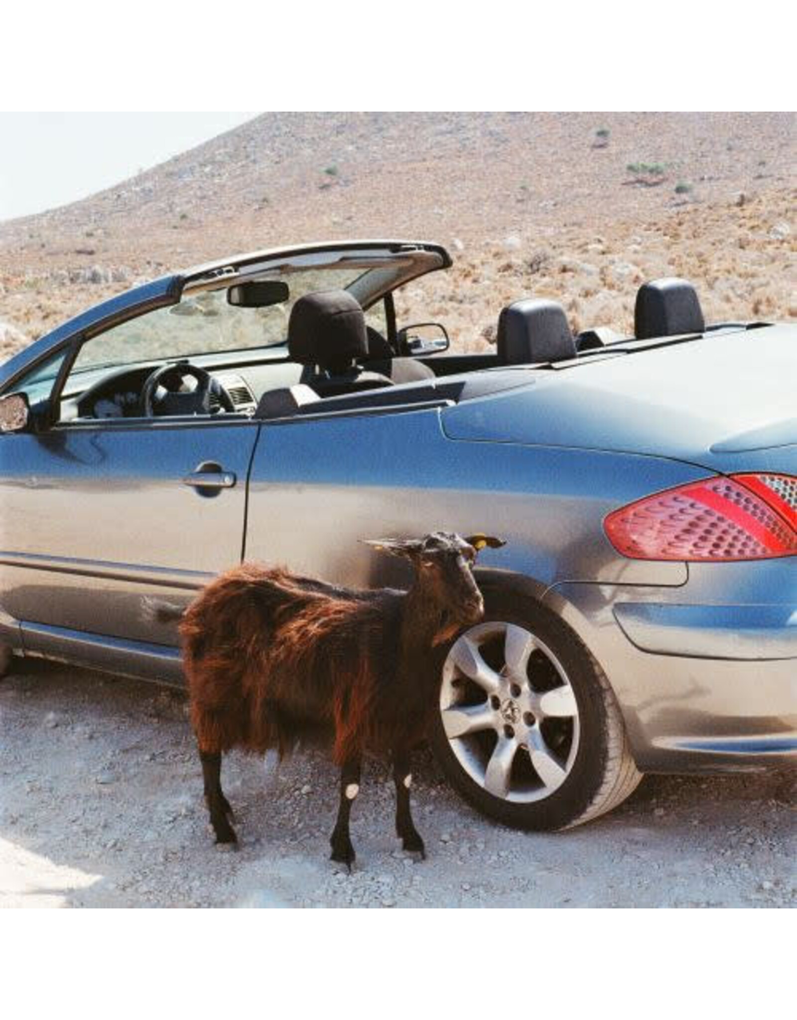 DFA Exek: Prove The Mountains Move LP