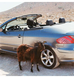 DFA Exek: Prove The Mountains Move LP