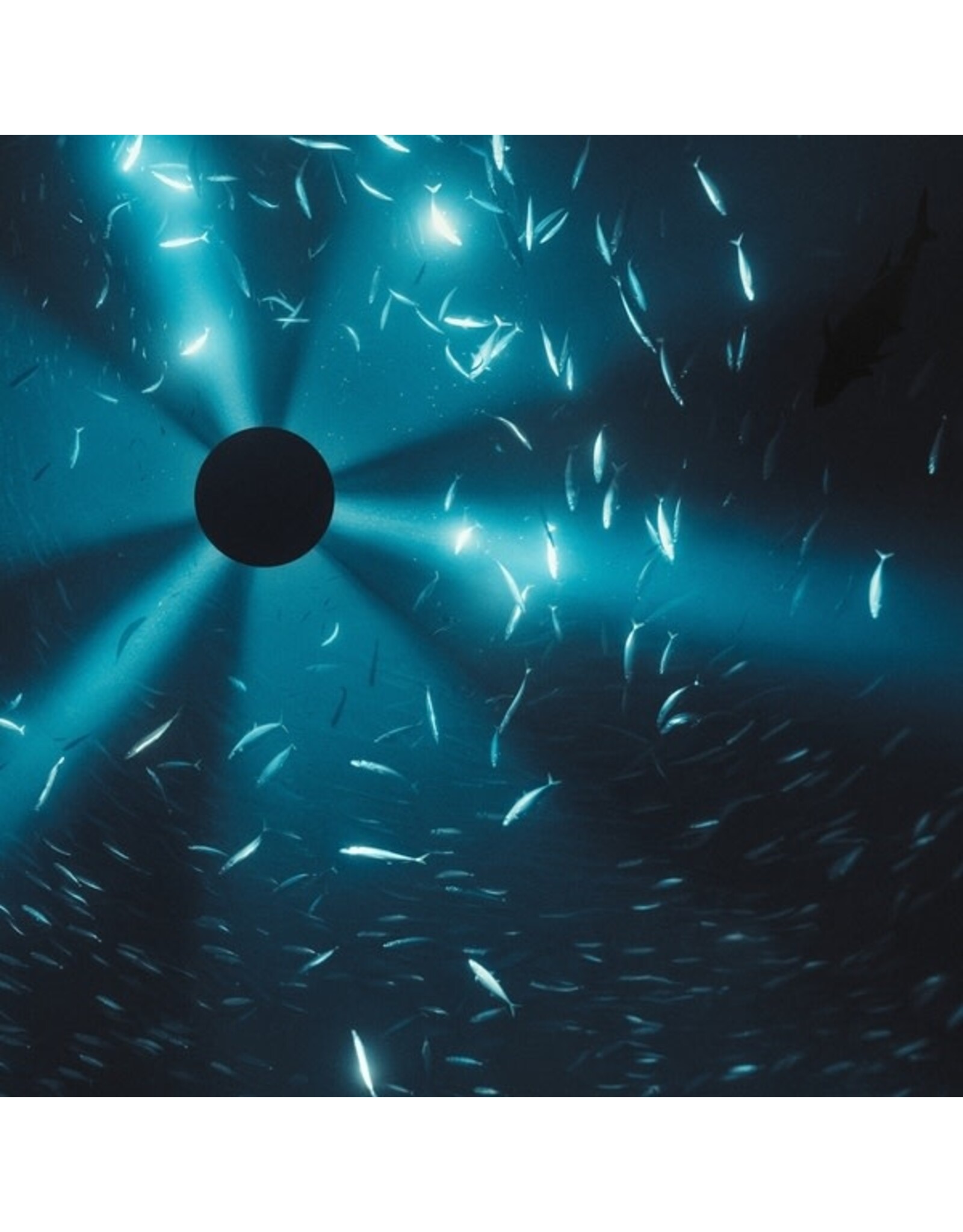 Halo, Laurel: Midnight Zone OST LP