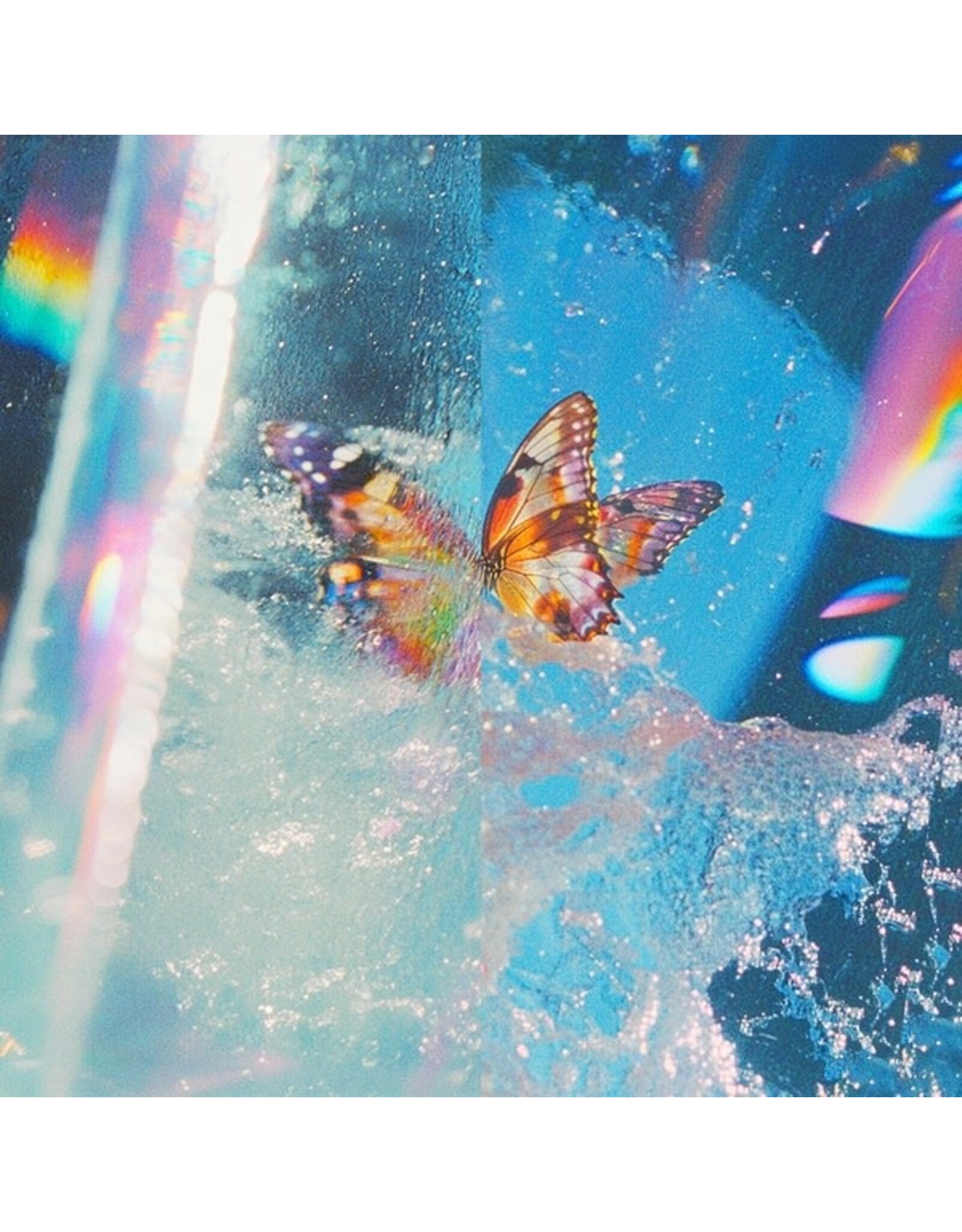 Daphni: Butterfly 2LP