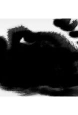 Black Knoll Irisarri, Rafael Anton: Points of Inaccessibility LP