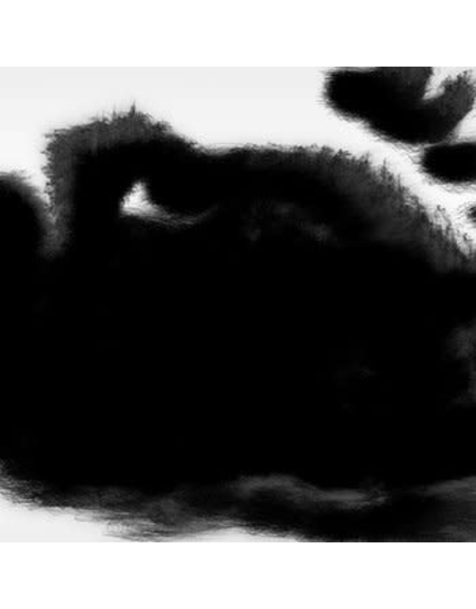 Black Knoll Irisarri, Rafael Anton: Points of Inaccessibility LP