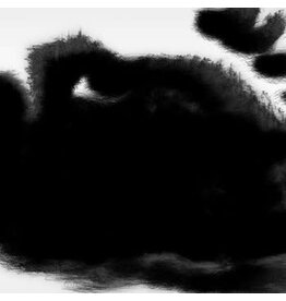 Black Knoll Irisarri, Rafael Anton: Points of Inaccessibility LP