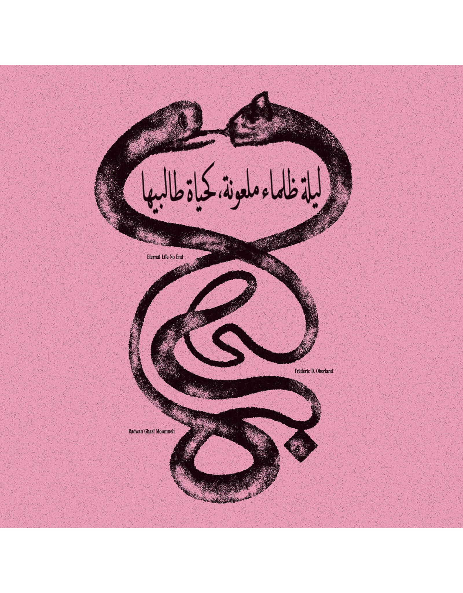Constellation Moumneh, Radwan Ghazi & Frédéric D. Oberland: Eternal Life No End LP