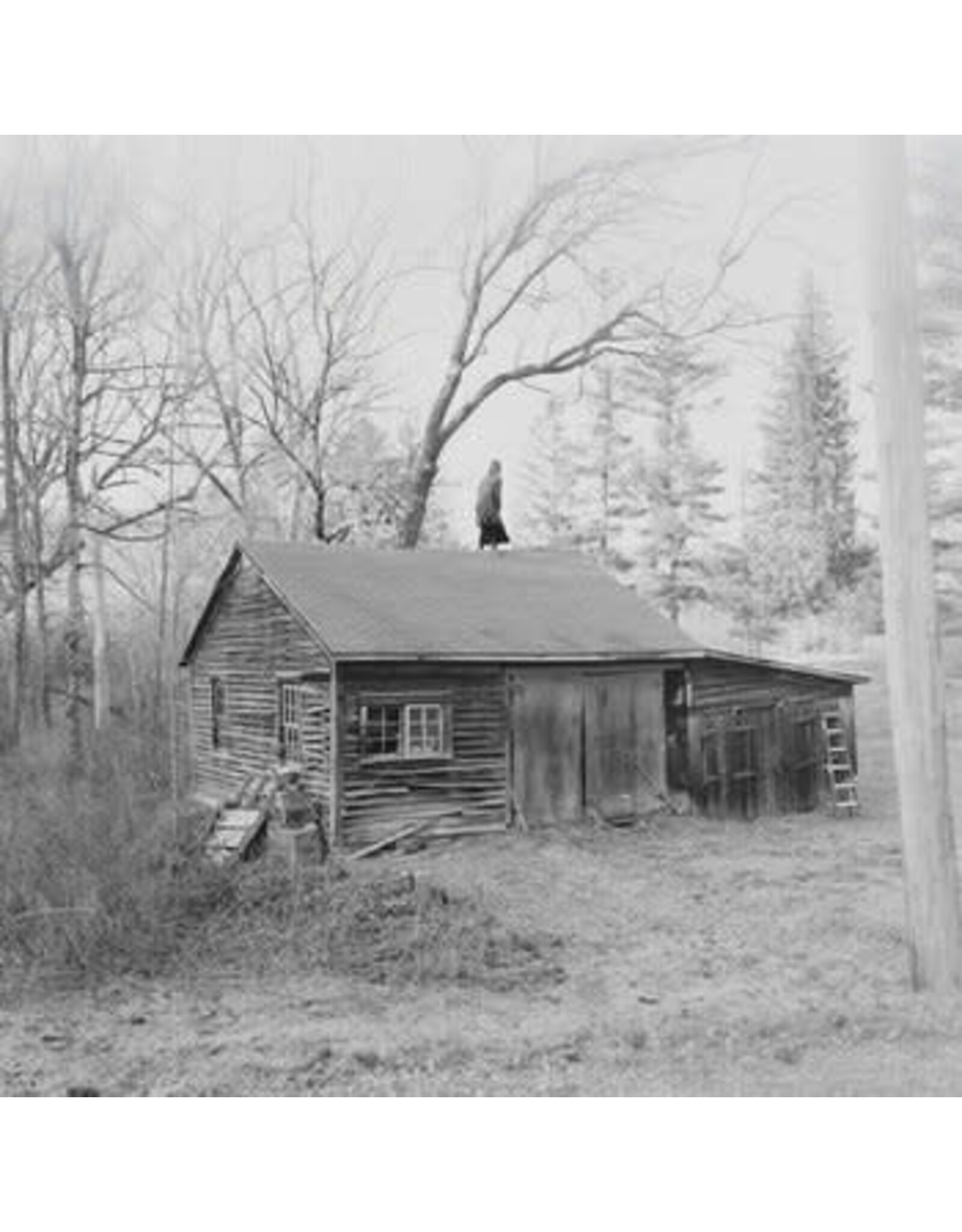 Lobby Art Old Saw: The Wringing Cloth LP