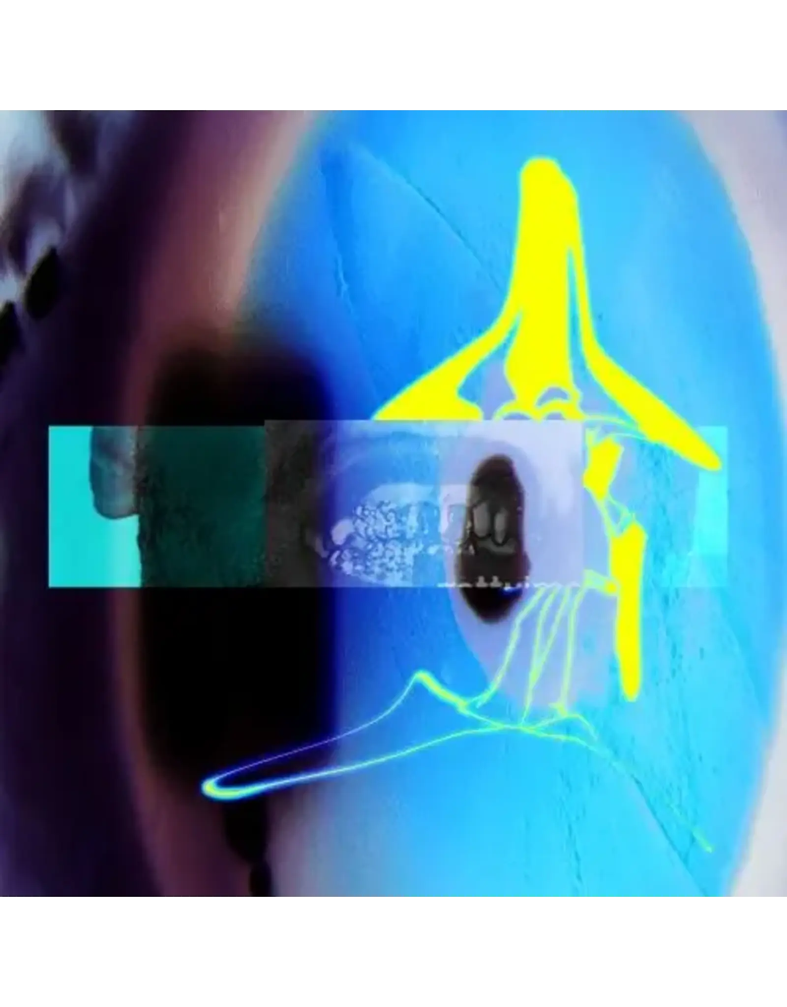 Backwoodz ELUCID & Sebb Bash: I Guess U Had To Be There (transparent clear vinyl) LP