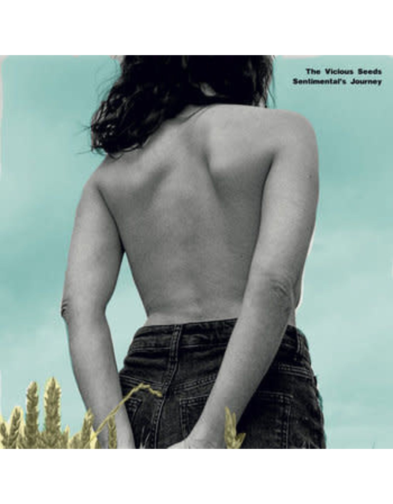 Funk Night Vicious Seeds: Sentimental’s Journey LP