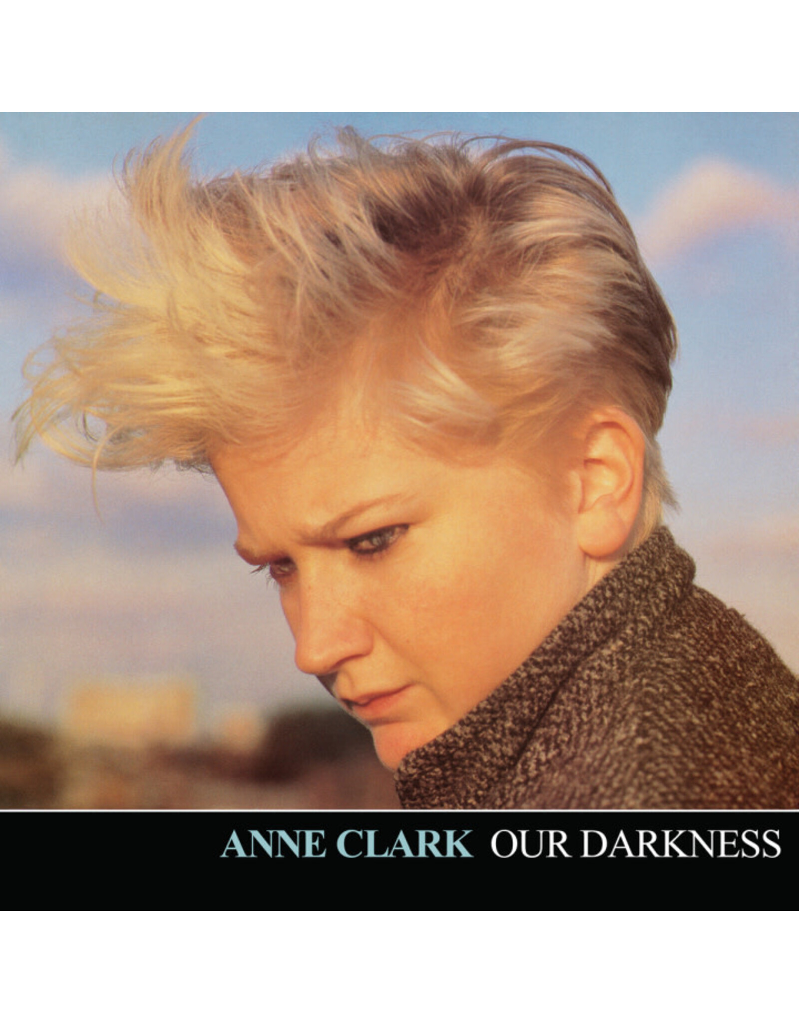 Dark Entries Clark, Anne: Our Darkness LP