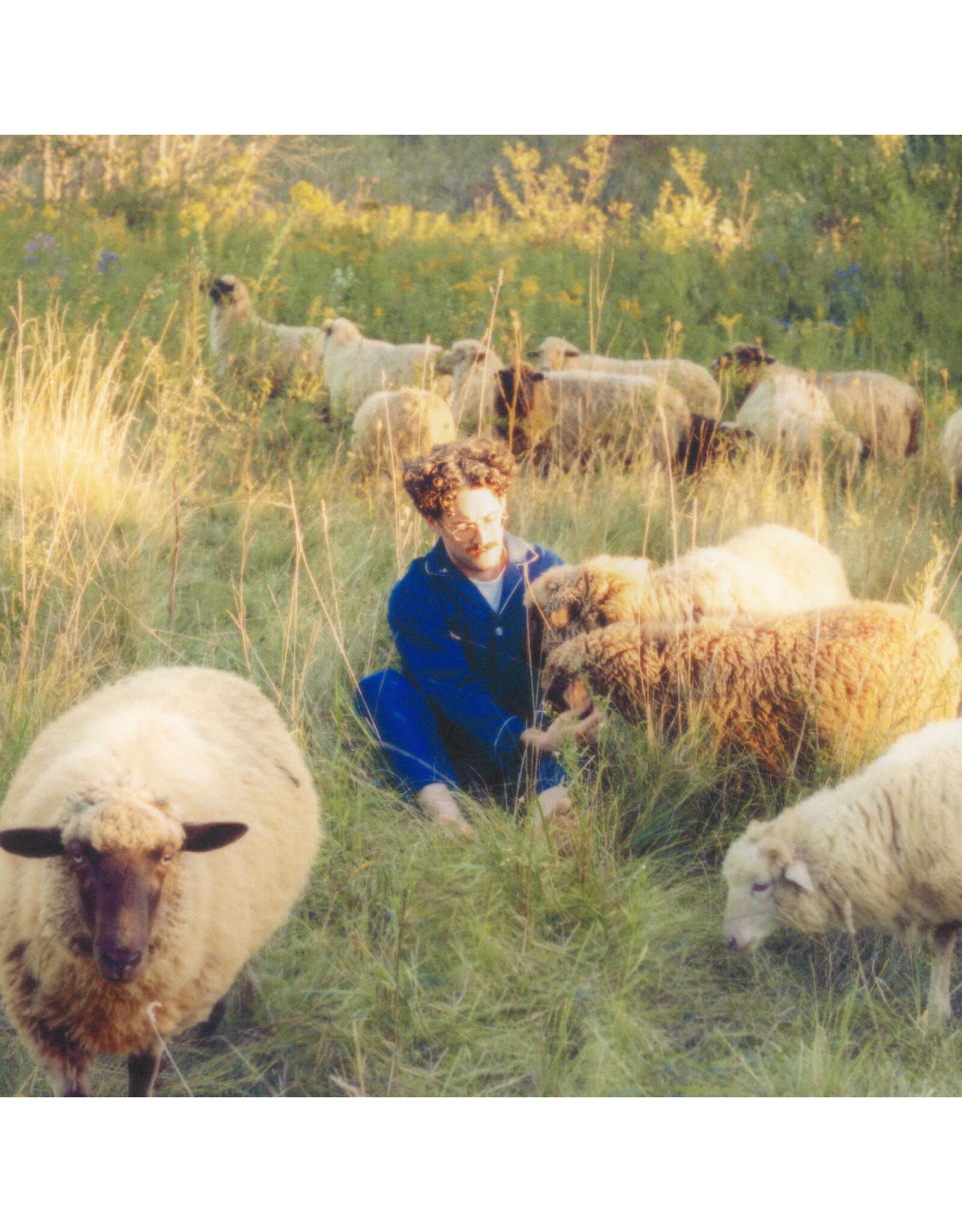 L'univers Resavoir: Themes for Dreams LP