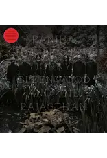World Circuit Tzur, Shye Ben & Jonny Greenwood & The Rajasthan Express: Ranjha LP