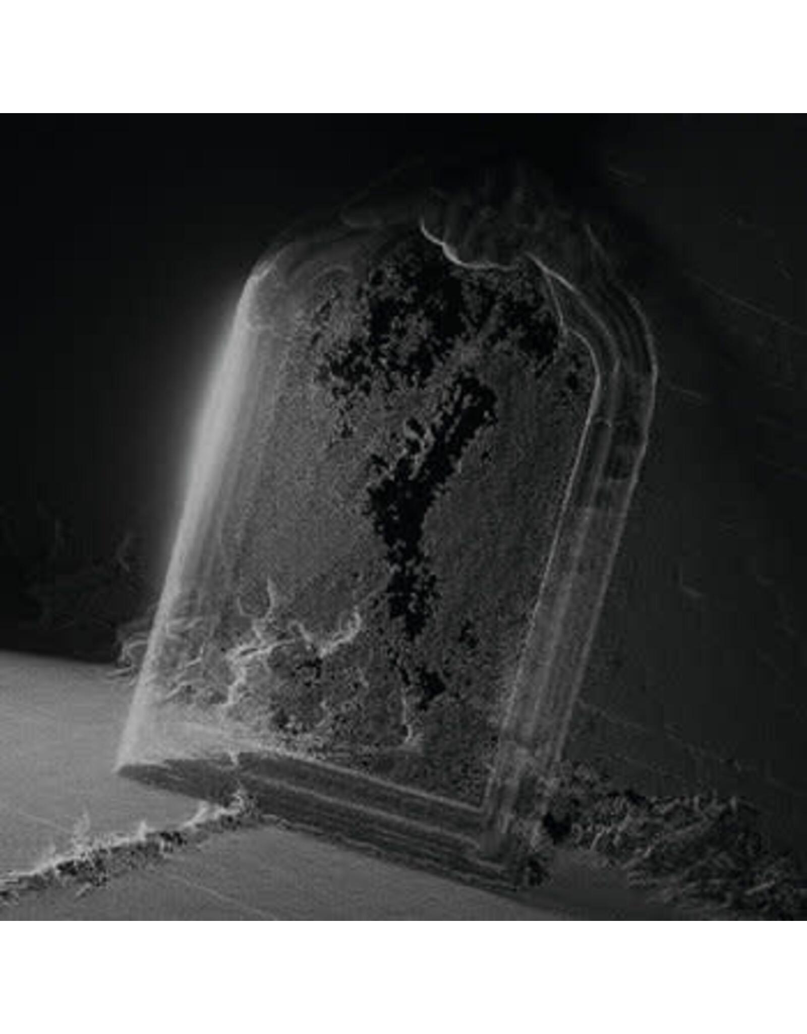 RVNG Intl. Visible Cloaks: Paradessence (silver vinyl) LP