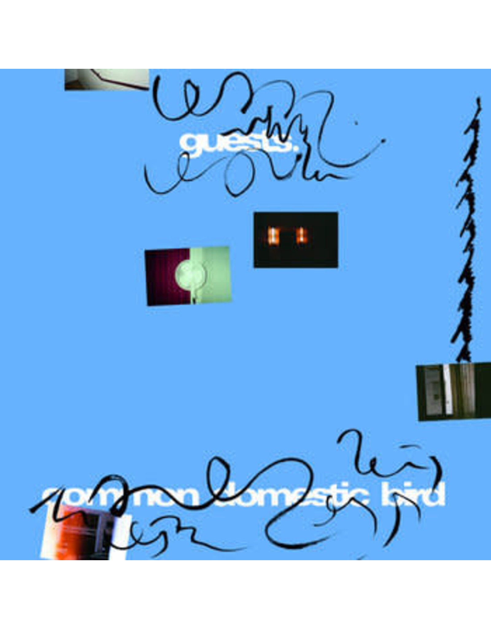 World of Echo Guests: Common Domestic Bird LP