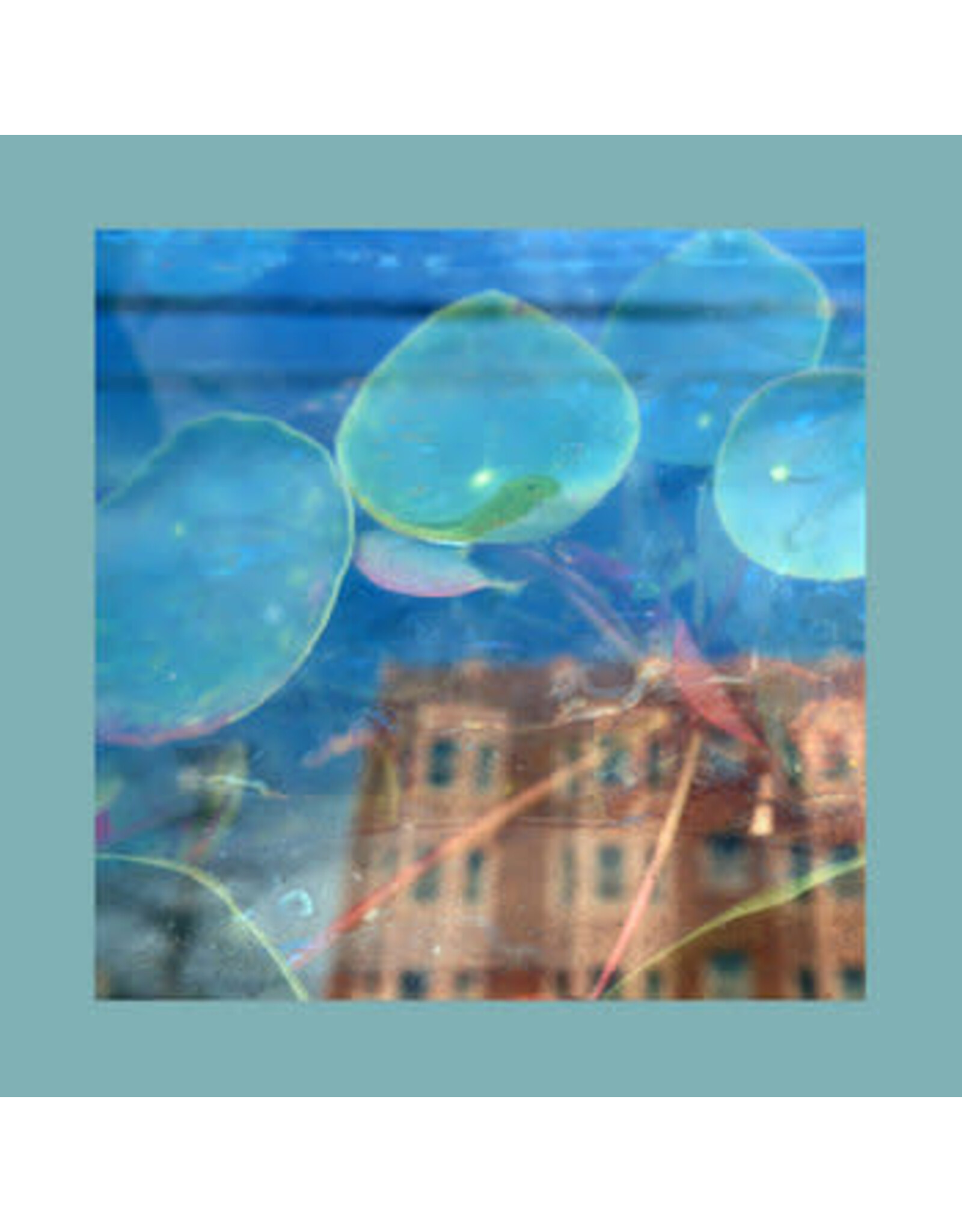 Fire Reds, Pinks And Purples: Acknowledge Kindness (subconscious window pane coloured) LP
