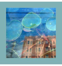 Fire Reds, Pinks And Purples: Acknowledge Kindness (subconscious window pane coloured) LP