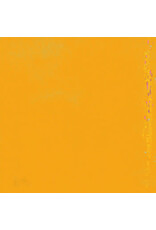 Stroom Thinking of the World Began Pounding in Our Ears the Moment We Hit Shore: s/t LP