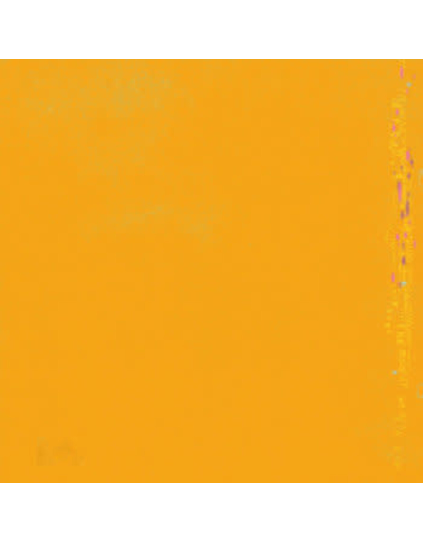 Stroom Thinking of the World Began Pounding in Our Ears the Moment We Hit Shore: s/t LP