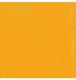 Stroom Thinking of the World Began Pounding in Our Ears the Moment We Hit Shore: s/t LP
