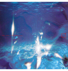 Music From Memory Nascimento, Fabiano Do & E Ruscha V: Aquaticos LP