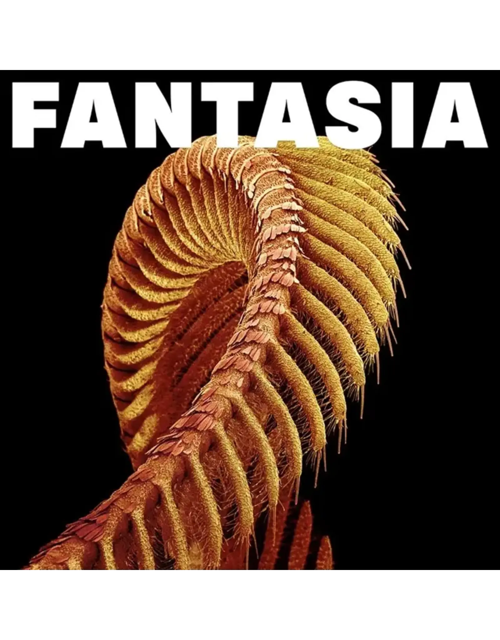 Sub Pop Slift: Fantasia (2LP-LOSER edition/yellow vinyl) LP