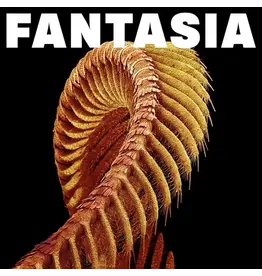Sub Pop Slift: Fantasia (2LP-LOSER edition/yellow vinyl) LP