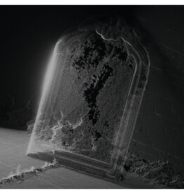 RVNG Intl. Visible Cloaks: Paradessence (silver vinyl) LP
