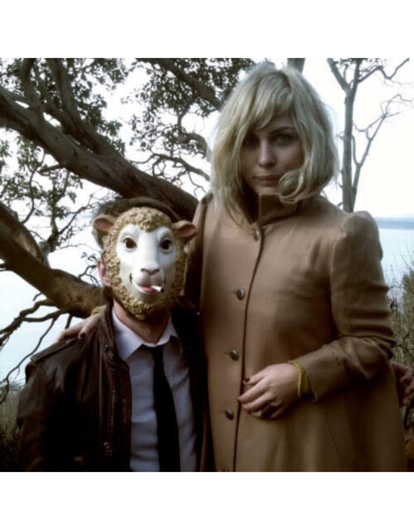 Virgin Head and the Heart: Head and the Heart LP