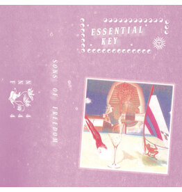 Not Not Fun Essential Key: Sons Of Freedom CS