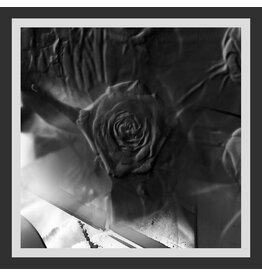 Planet Mu Ital Tek: Mind Abandon LP
