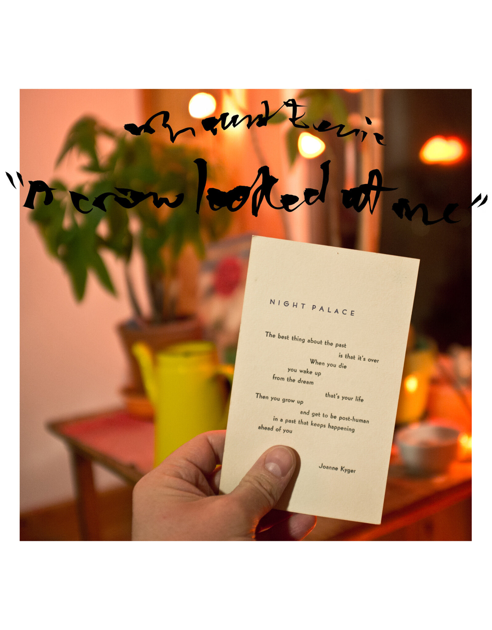 PW Elverum Mount Eerie: A Crow Looked at Me LP