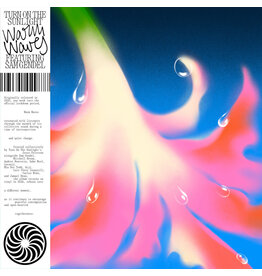 Turn on the Sunlight feat. Sam Gendel: Warm Waves LP