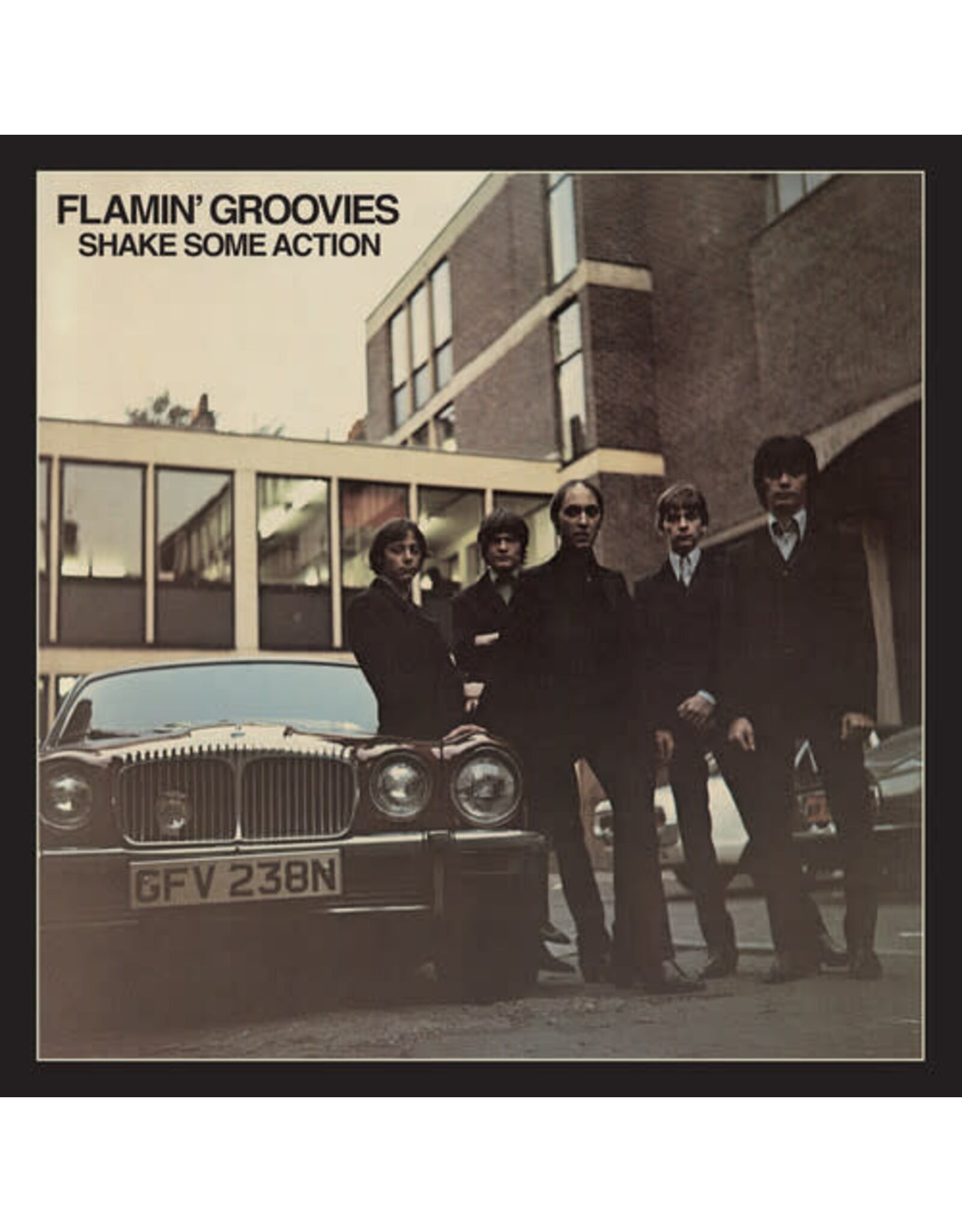 Rhino Flamin' Groovies: Shake Some Action (50th Anniversary Edition) LP