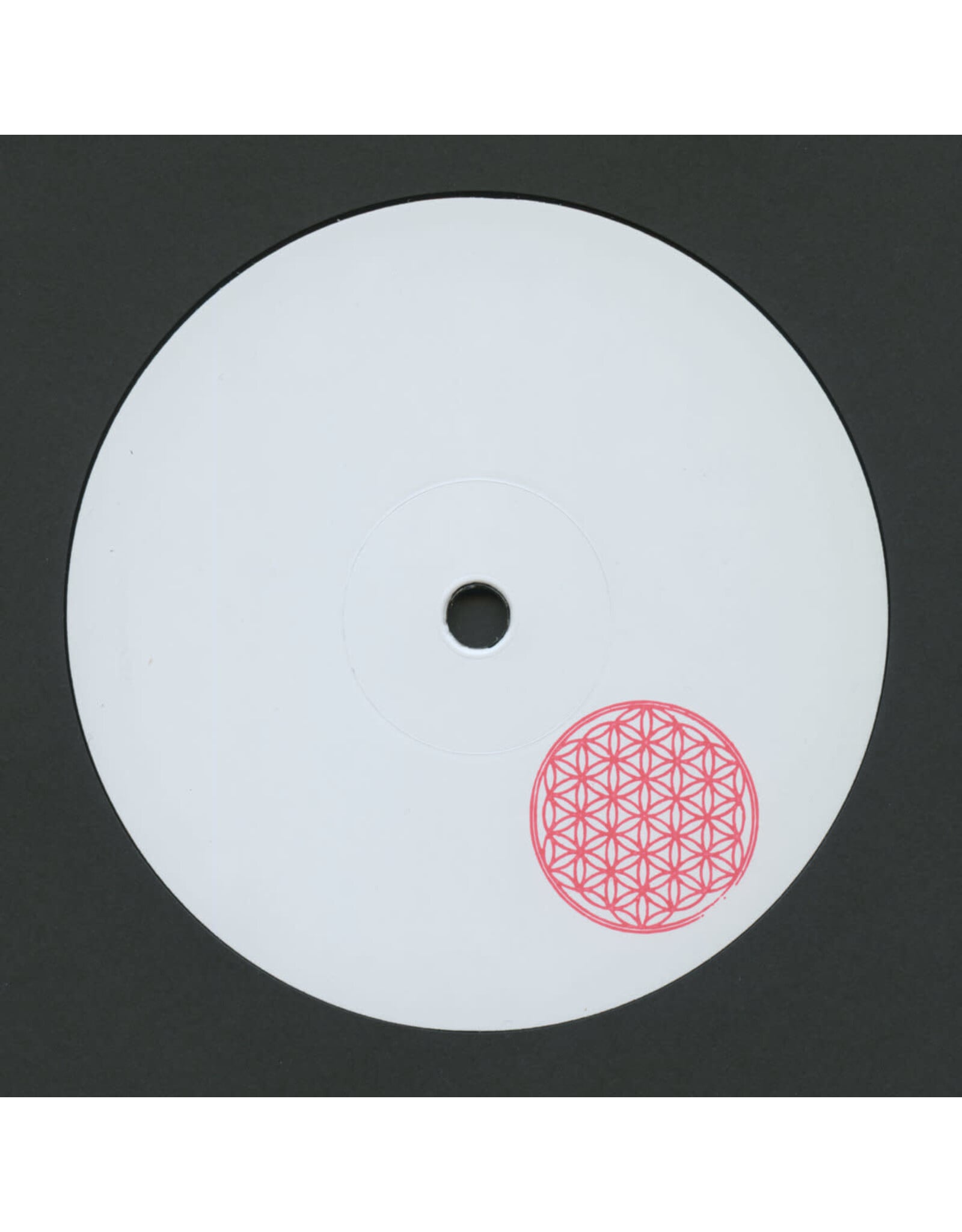 ilian Tape Skee Mask: Serum 12"