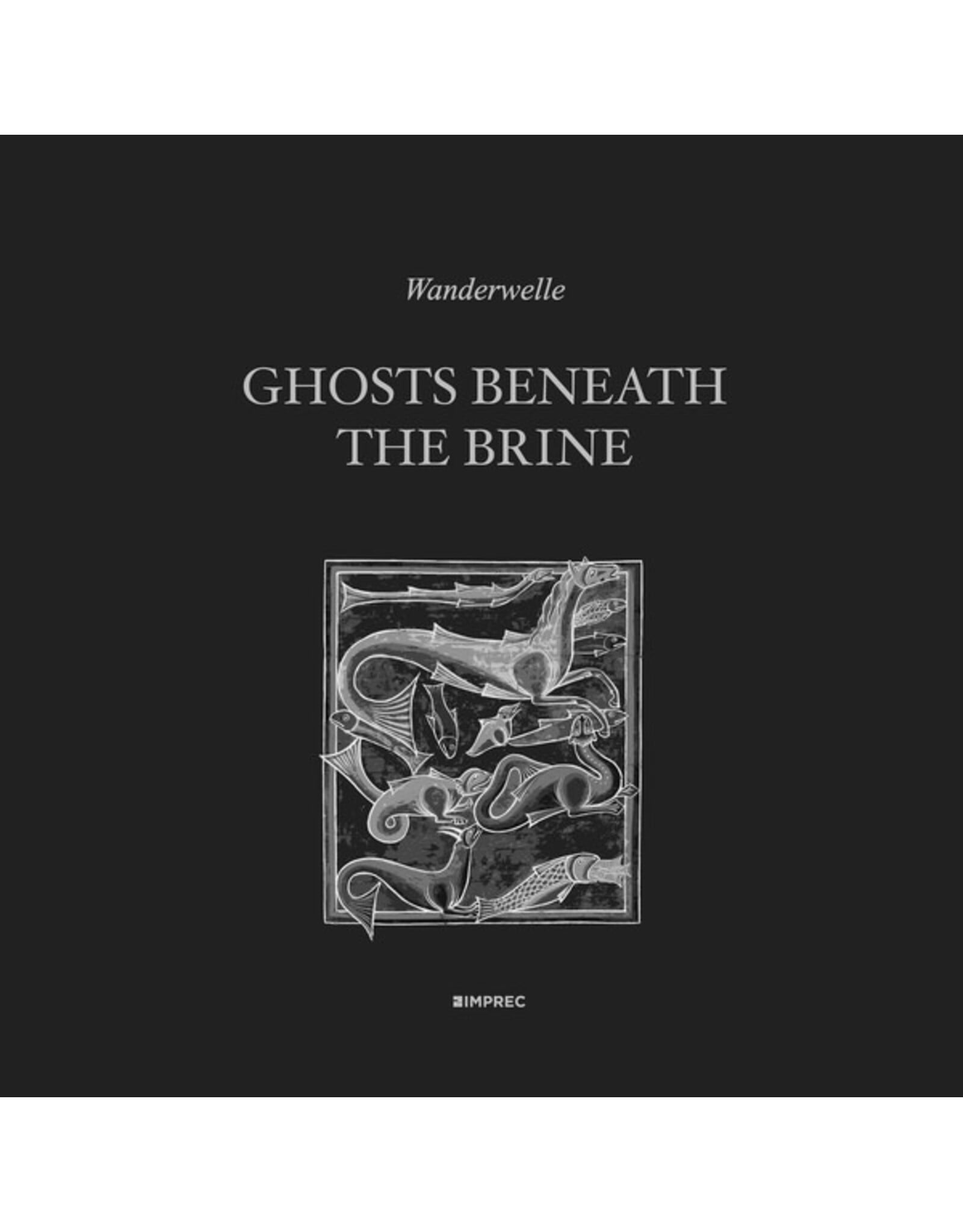 Important Wanderwelle: Ghosts Beneath The Brine LP