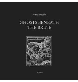 Important Wanderwelle: Ghosts Beneath The Brine LP