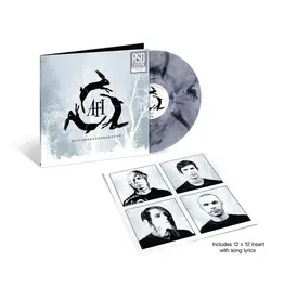 Interscope AFI: DECEMBERUNDERGROUND (20th Anniversary) ('Salt n Peppa' vinyl) LP