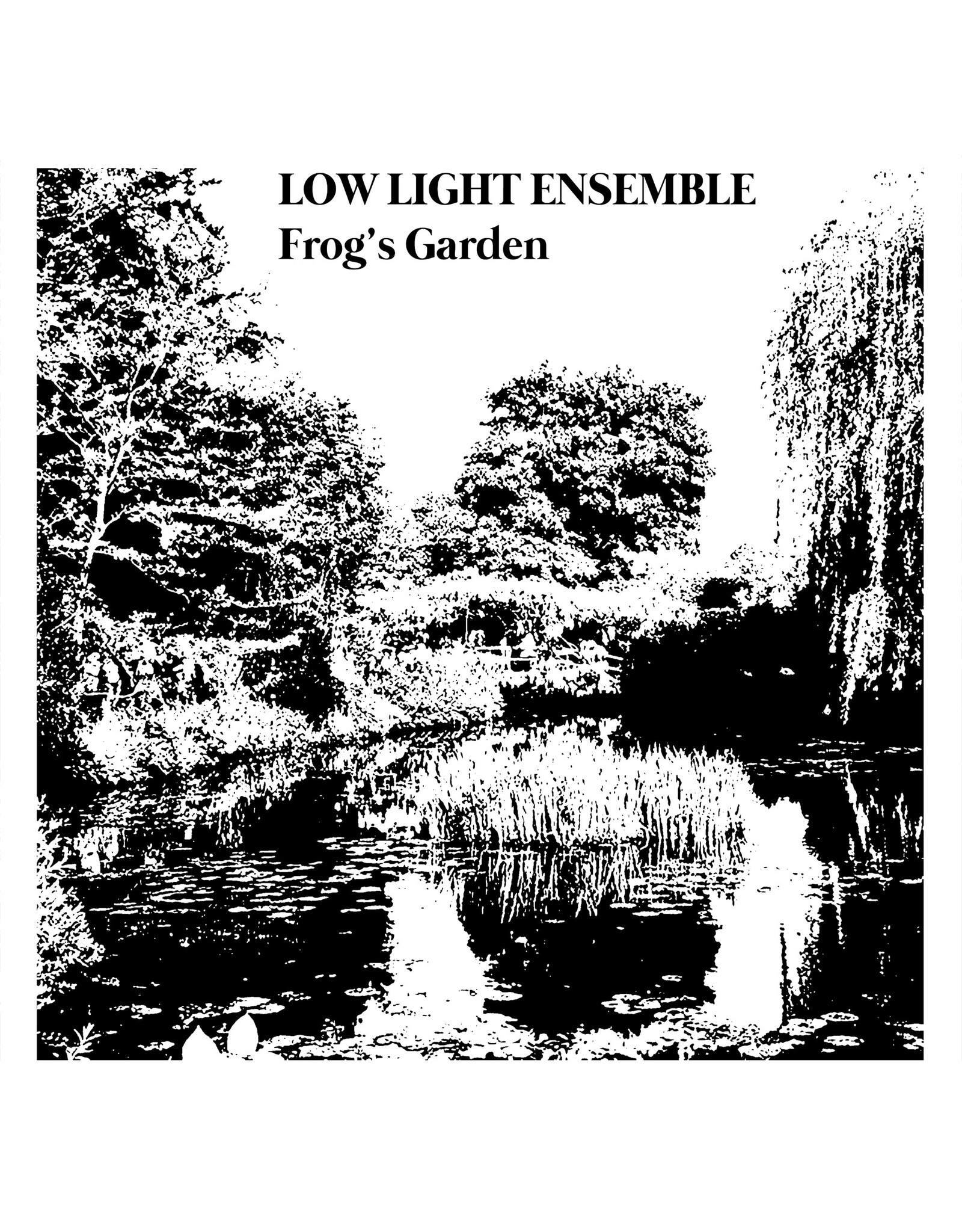 Low Light Ensemble: Frog's Garden LP