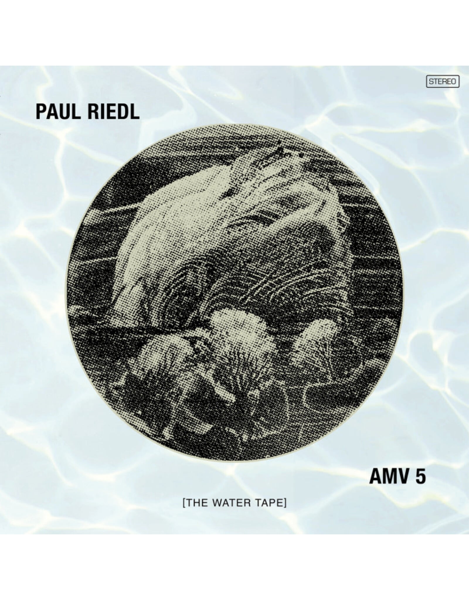 Riedl, Paul: Ambient Mixtape Vol. 5: The Water Tape LP