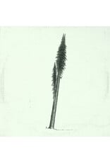 Riedl, Eric & Hanging Moss: Some Songs (1974-1980) b/w Quiet Songs Vol. 1 (2013) LP